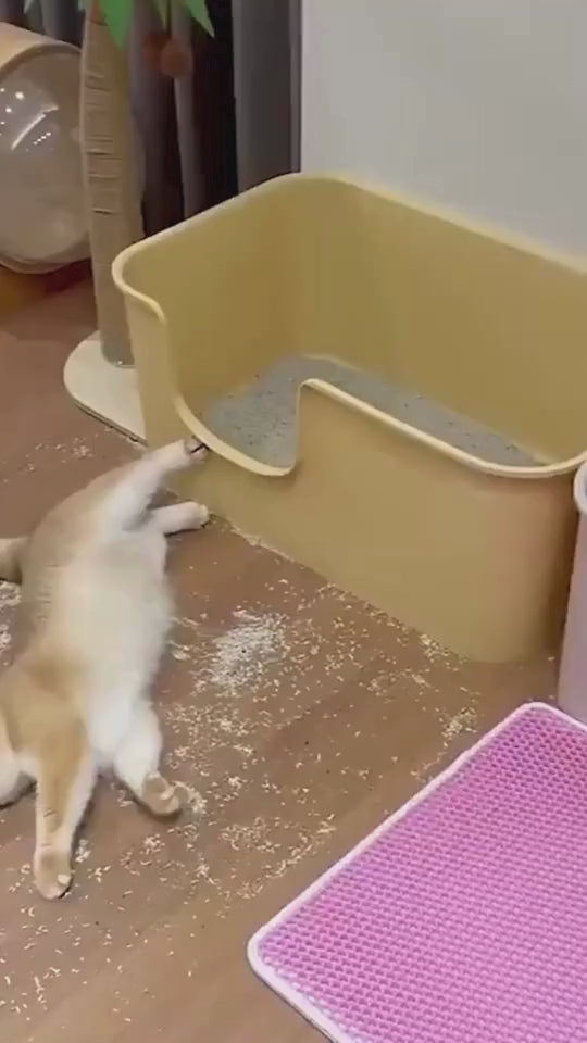 Cat Litter Pad Honeycomb Cat Pad Waterproof Urine Proof Pad Pet Supplies